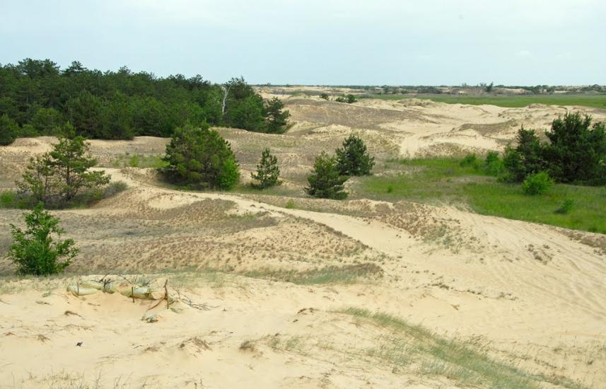 Козачі Лагері з panoramio.com - Козачие Лагеря