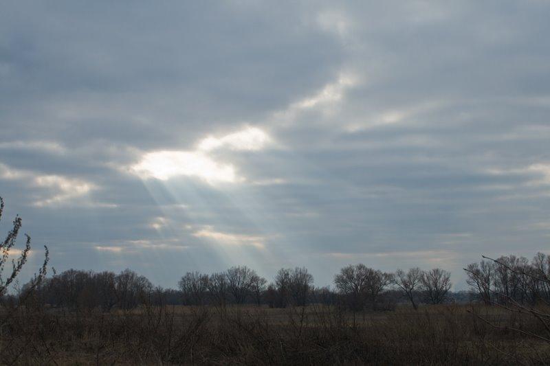 Червона Слобода з panoramio.com - Червона Слобода