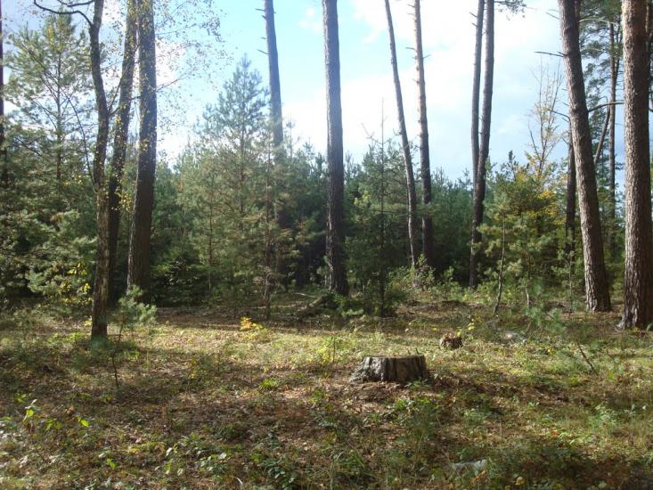 Славута з panoramio.com - Славута