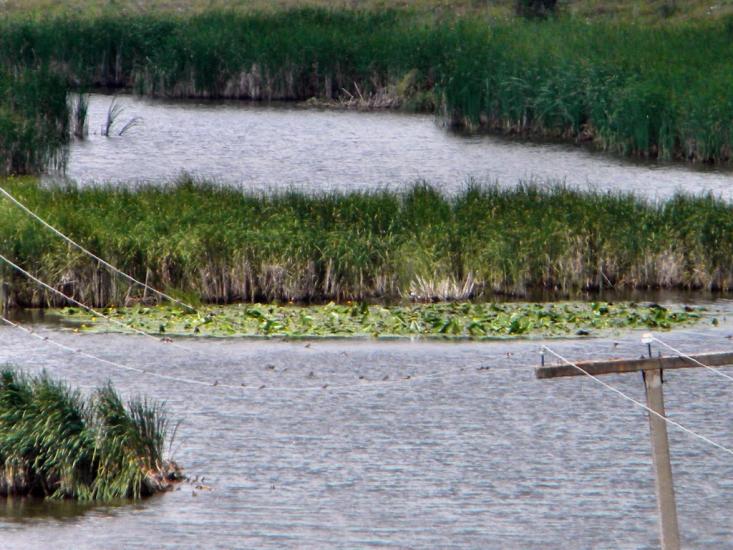Липовець з panoramio.com - Липовец