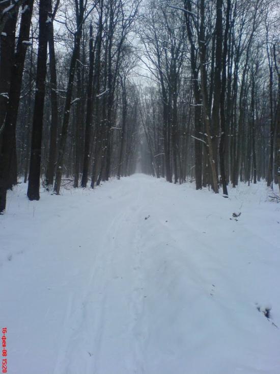 Іволжанське з panoramio.com - Иволжанское