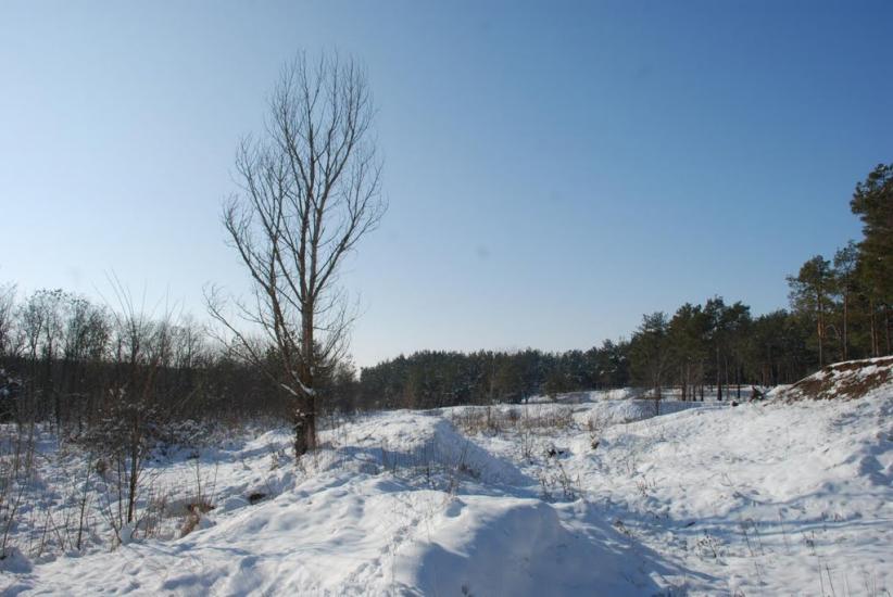 Баловне з panoramio.com - Баловное