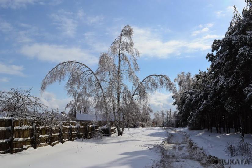 Лебедин з panoramio.com - Лебедин