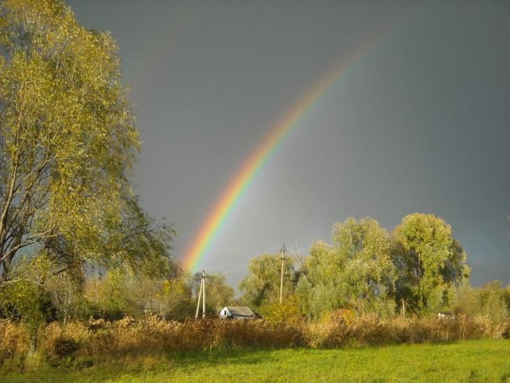 Прохори з panoramio.com - Прохори