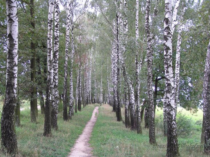 Чуднів з panoramio.com - Чуднів