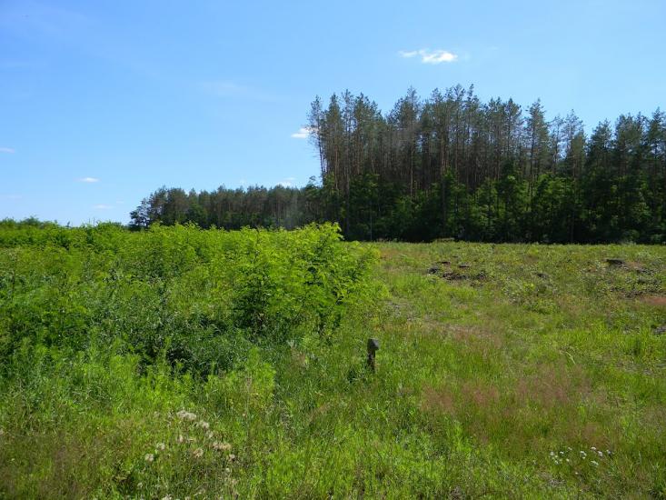 Городня з panoramio.com - Городня