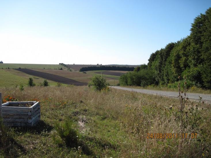 Галузинці з panoramio.com - Галузинцы