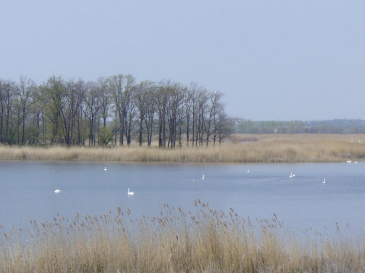 Гупалівка з panoramio.com - Гупаловка