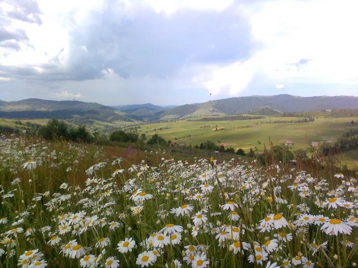 Хащованя з panoramio.com - Khaschovanya