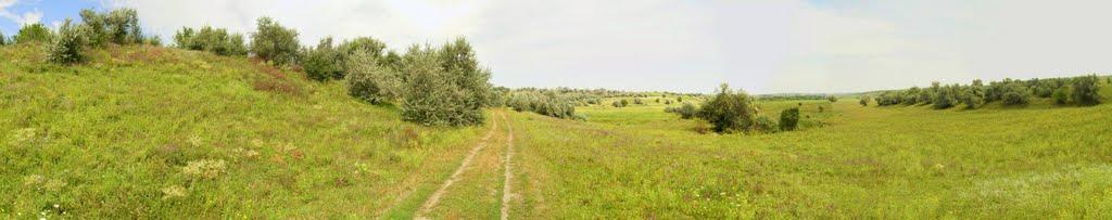 Доманівка з panoramio.com - Доманевка
