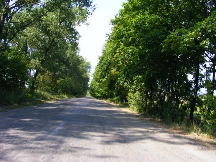 Швайківка з panoramio.com - Shvaykivka