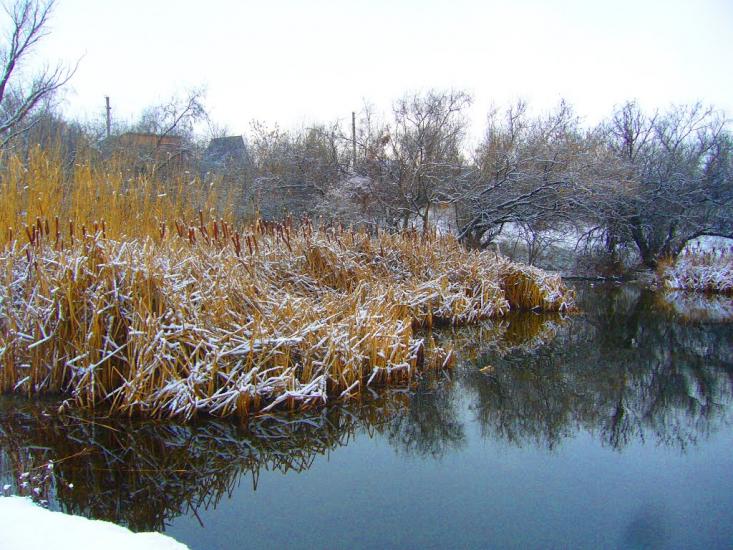 Вільноуланівське з panoramio.com - Вільноуланівське