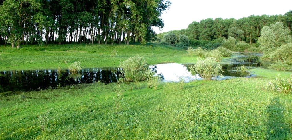 Брусилів з panoramio.com - Брусилов