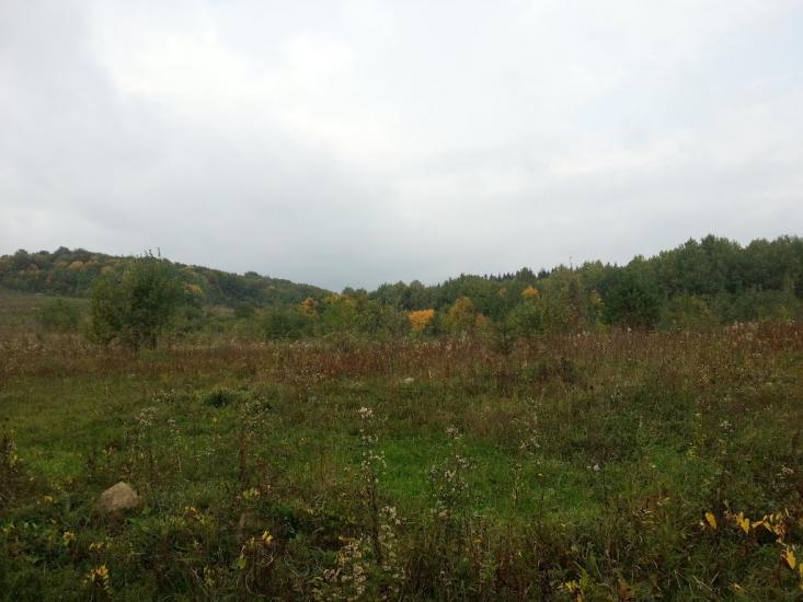 Копачівка з panoramio.com - Копачівка