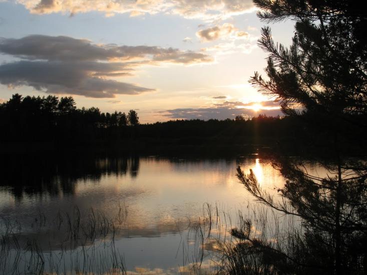 Піски-Річицькі з panoramio.com - Піски-Річицькі