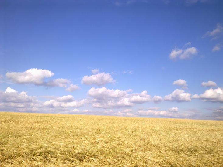 Юр'ївка з panoramio.com - Юр'ївка