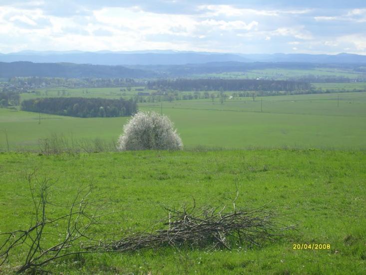 Сторожинець з panoramio.com - Сторожинец