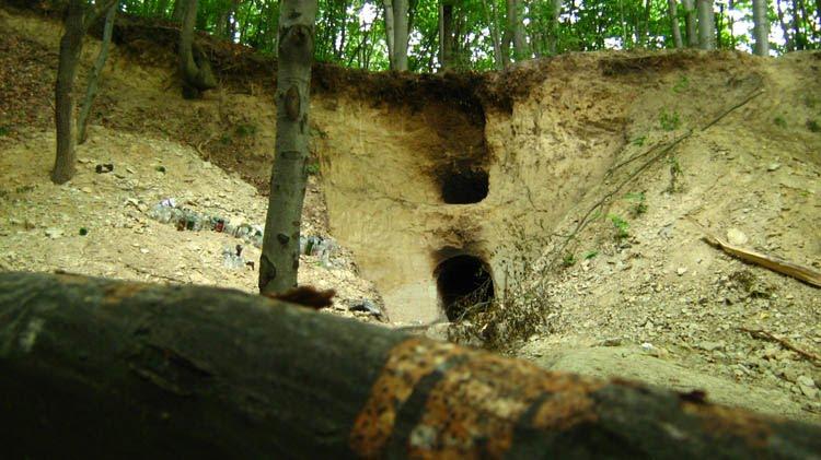 Стара Скварява з panoramio.com - Стара Скварява