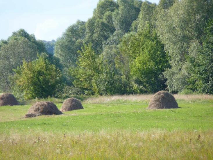 Горбове з panoramio.com - Gorbove