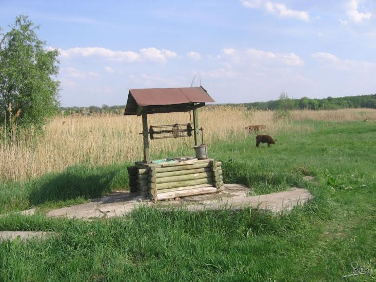 Новоселівка з panoramio.com - Novoselivka