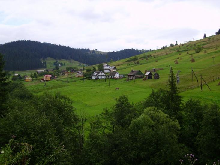 Вороненко з panoramio.com - Вороненко
