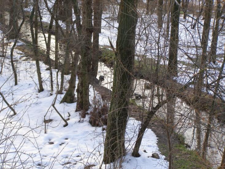 Приморське з panoramio.com - Приморское