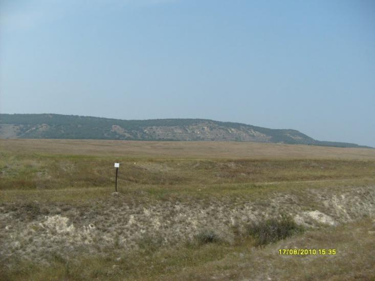 Сирень з panoramio.com - Сирень