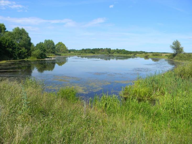 Півнівщина з panoramio.com - Півнівщина