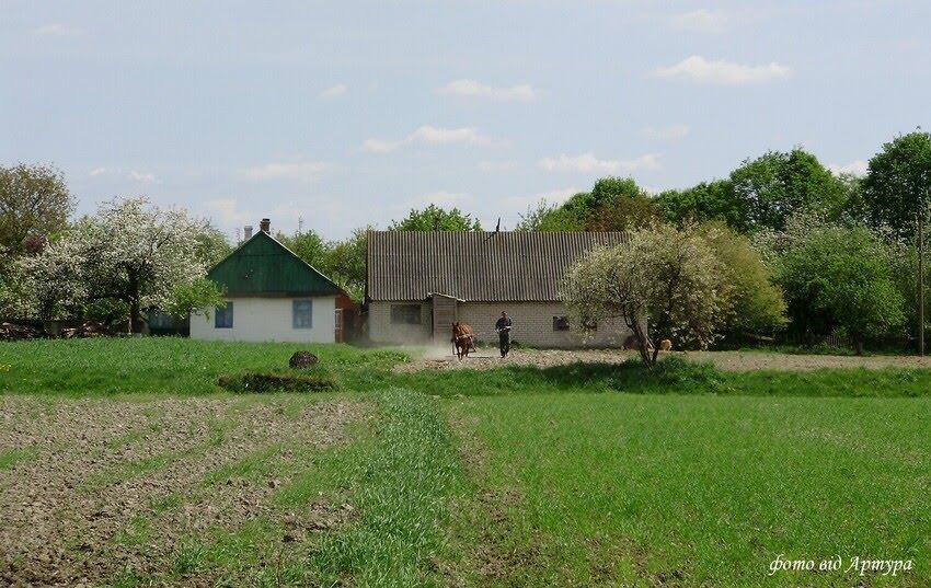 Звози з panoramio.com - Zvozy