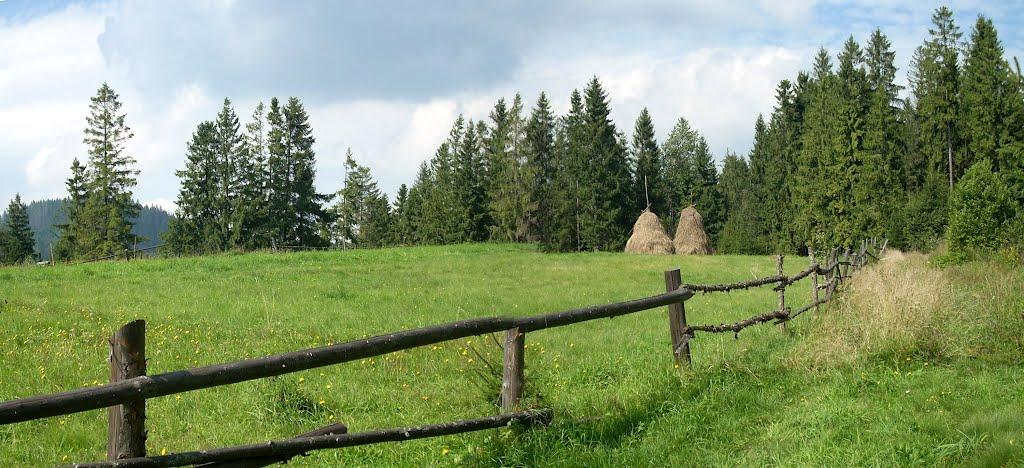 Козьова з panoramio.com - Козева