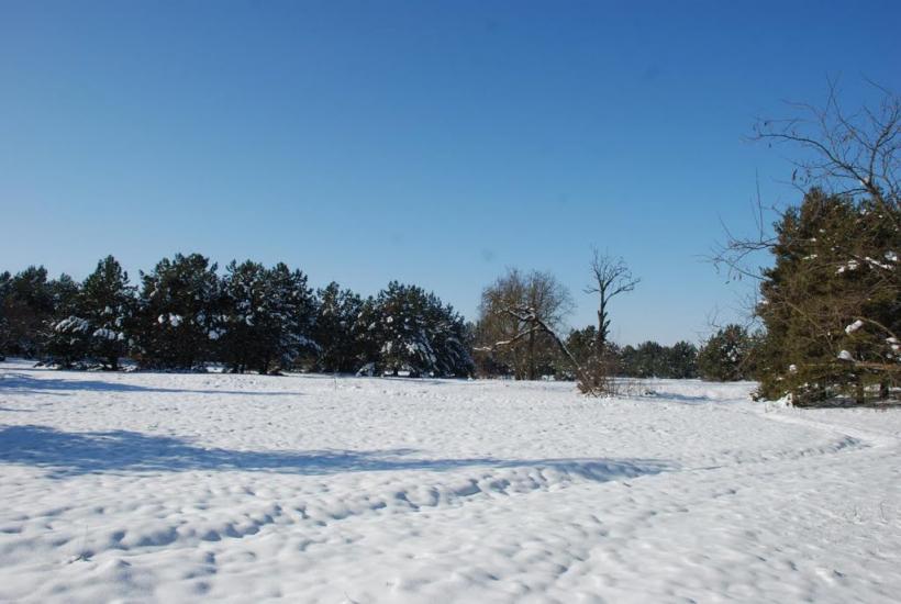 Баловне з panoramio.com - Баловное