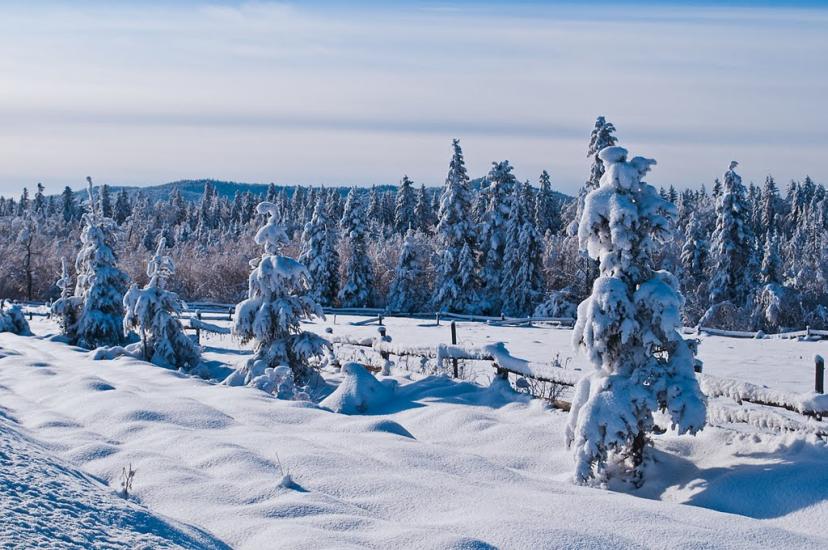 Міжгір'я з panoramio.com - Міжгір'я