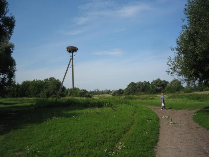 Ротівка з panoramio.com - Ротовка