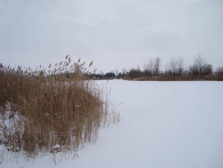 Буців з panoramio.com - Буцов