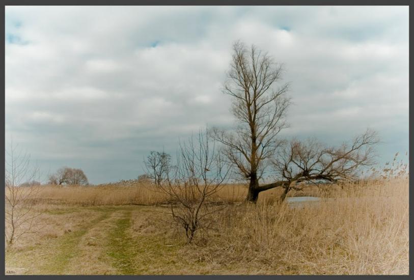 Червона Слобода з panoramio.com - Червона Слобода