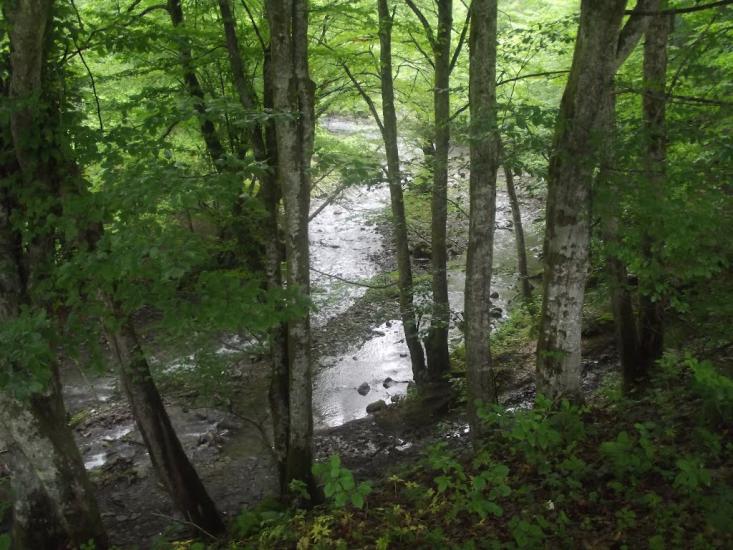 Кічерели з panoramio.com - Kicherely