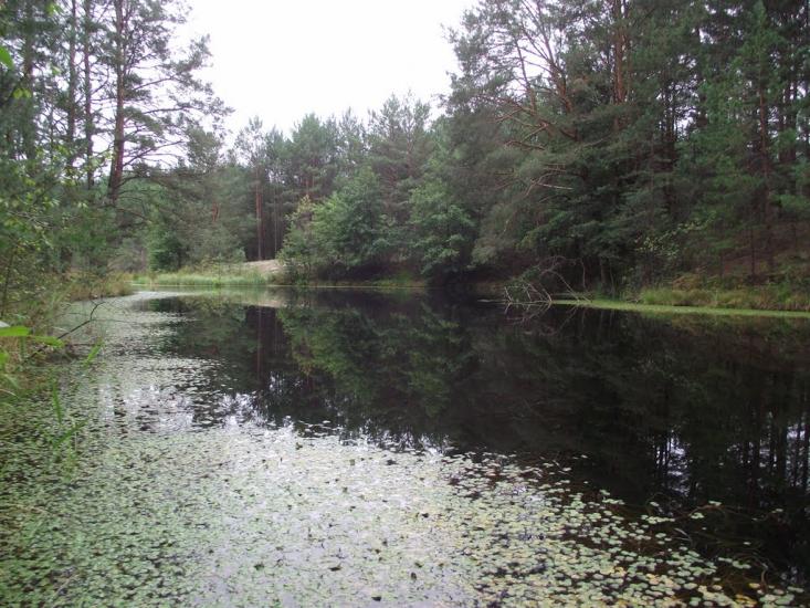 Космачів з panoramio.com - Космачів