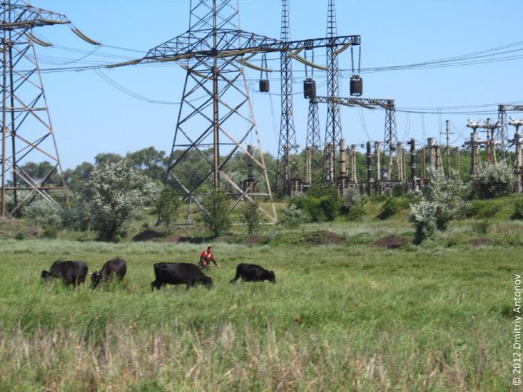 Свистунове з panoramio.com - Свистуново