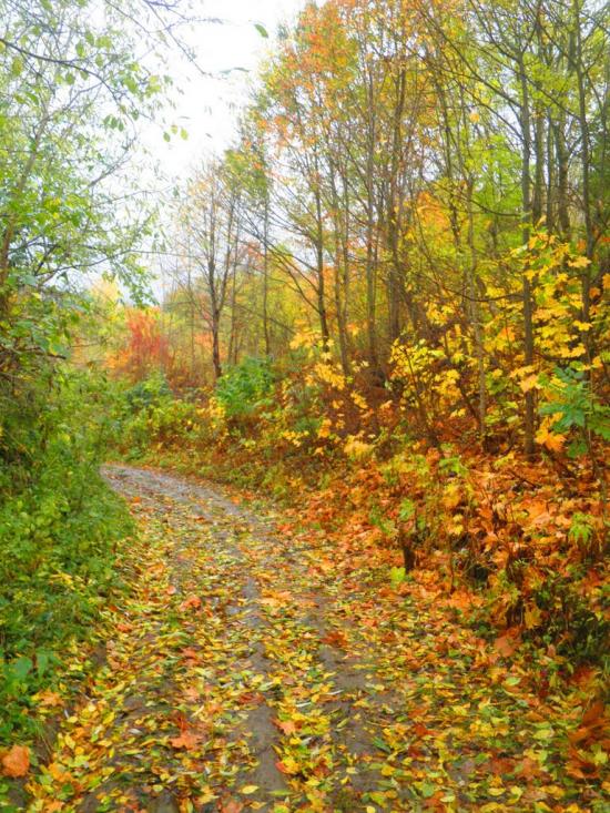 Думенки з panoramio.com - Думенки