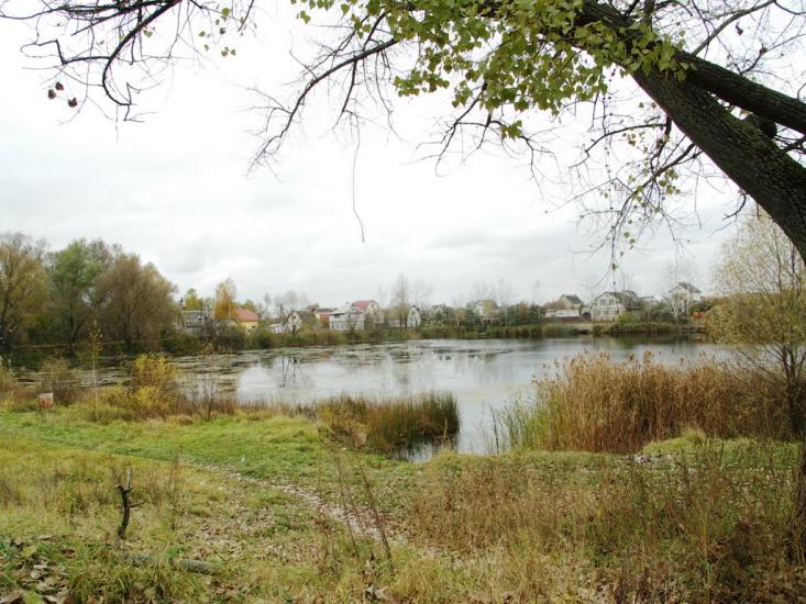 Мала Стариця з panoramio.com - Мала Стариця