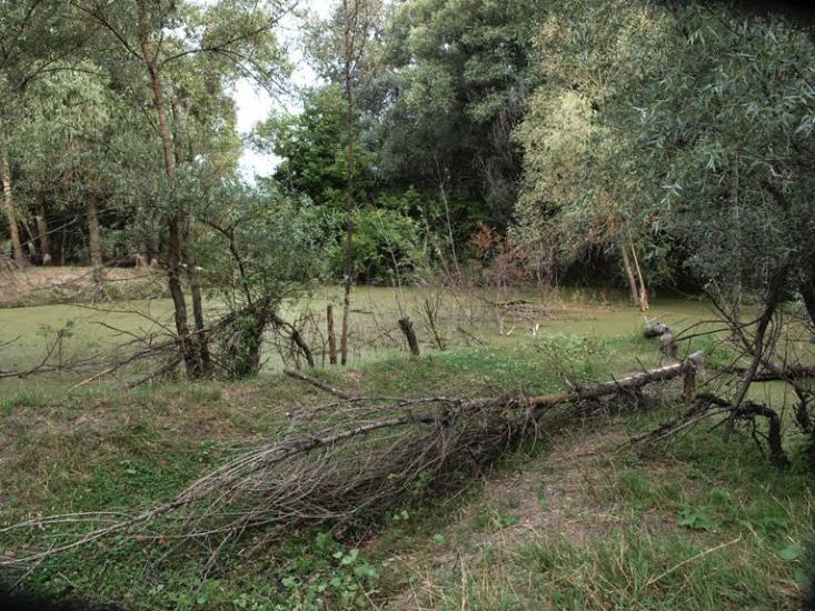 Баранівка з panoramio.com - Барановка