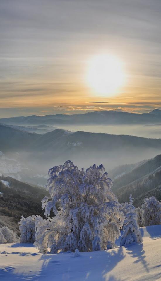 Білин з panoramio.com - Білин