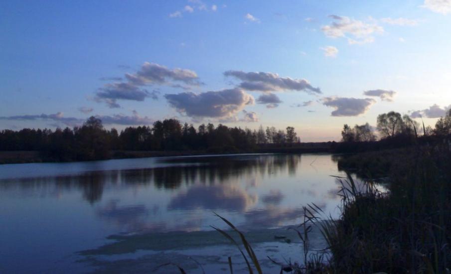 Півнівщина з panoramio.com - Пивневщина