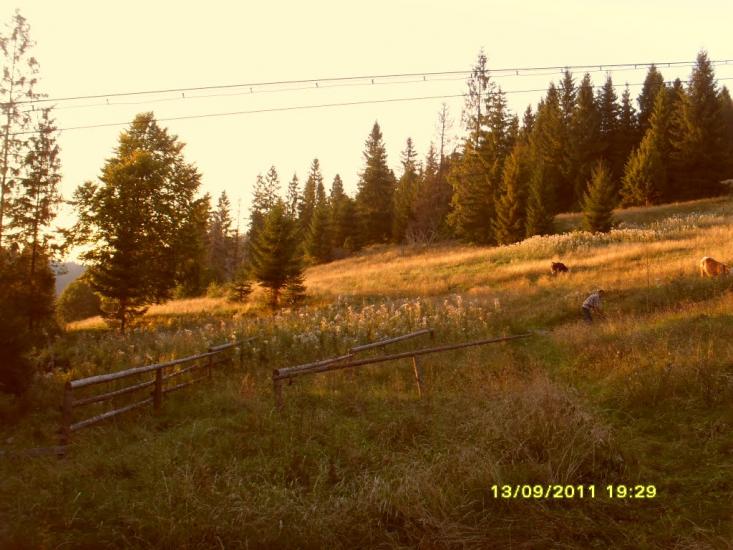 Орявчик з panoramio.com - Орявчик