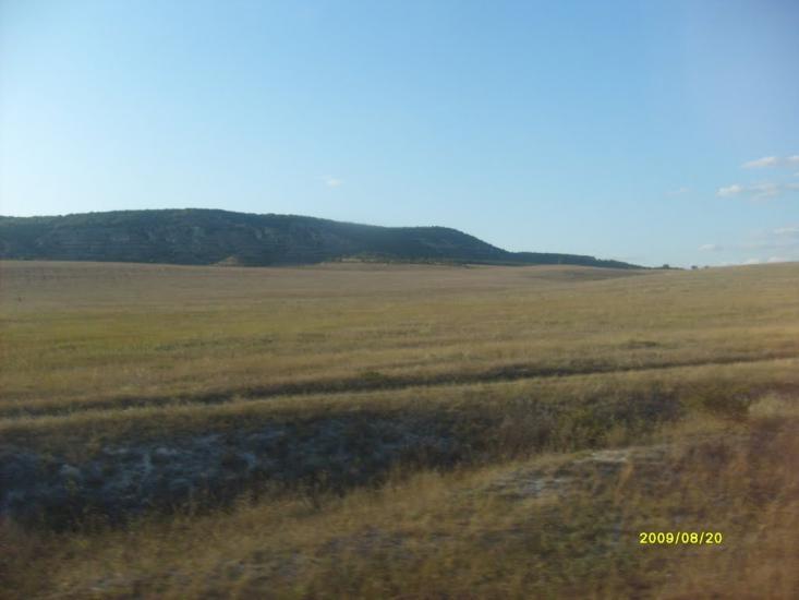 Сирень з panoramio.com - Сирень