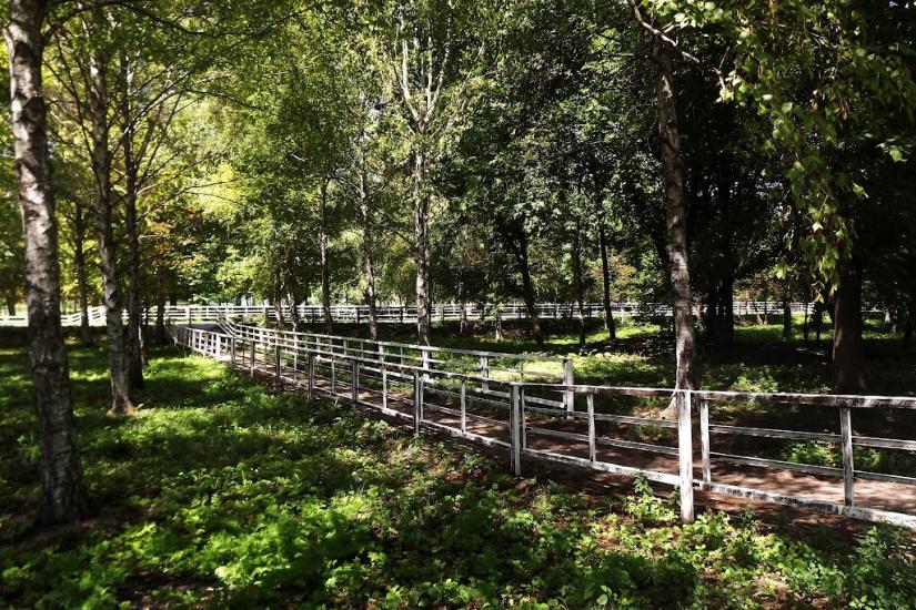 Панчеве з panoramio.com - Панчево