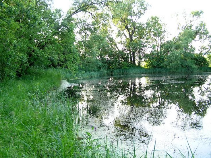 Шипинки з panoramio.com - Шипинки