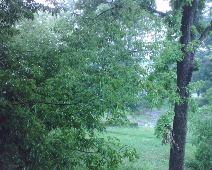 Жовтень з panoramio.com - Жовтень