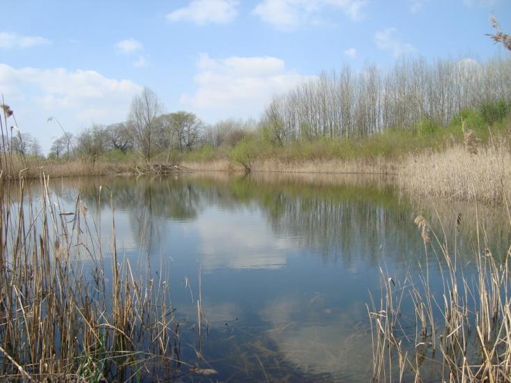 Буців з panoramio.com - Буцов