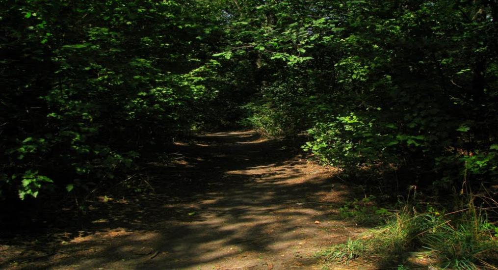 Времівка з panoramio.com - Времівка